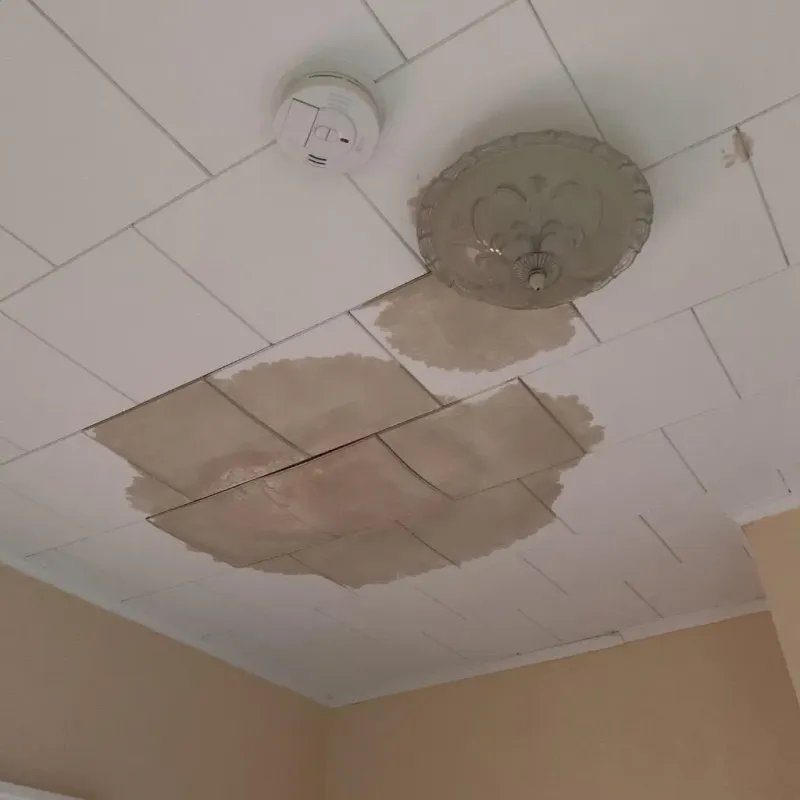 Ceiling Water Damage Repair in City of Waynesboro, VA