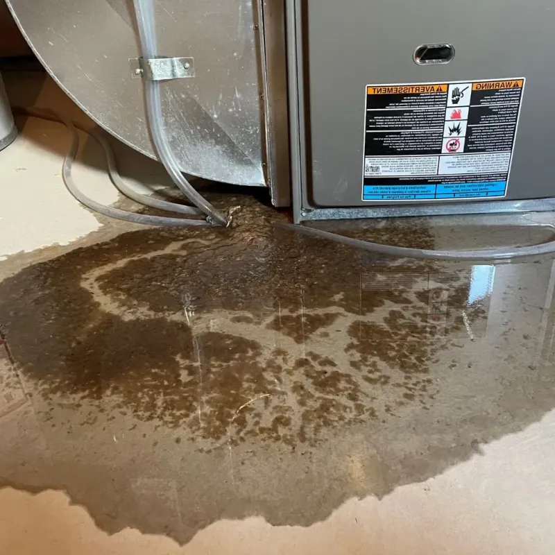 Pipe Burst and Leak Restoration in City of Waynesboro, VA