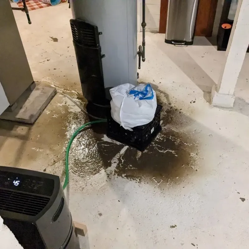 Sewage Backup Cleanup Service in City of Waynesboro, VA